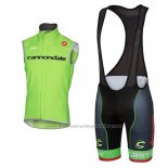 2017 Wind Vest Cannondale Green